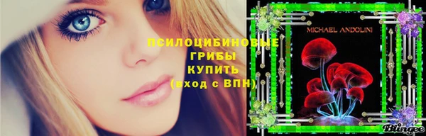 стафф Абаза