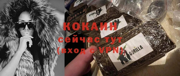 дурь Новодвинск