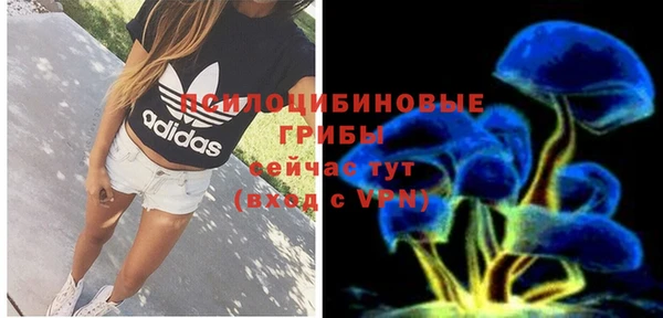 каннабис Новозыбков